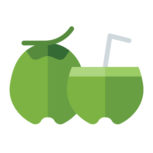 Food, fruit, vegetable, vegetarian, organic, coconut, young icon - Free download