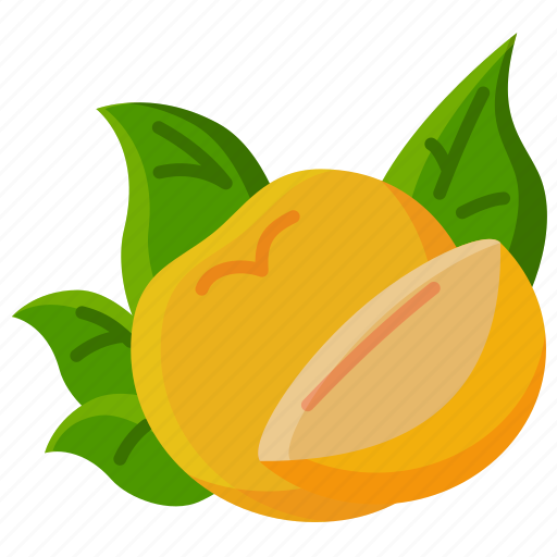 Citrus, fruit, fruits, vitamin, nutrition, organic, food icon - Download on Iconfinder