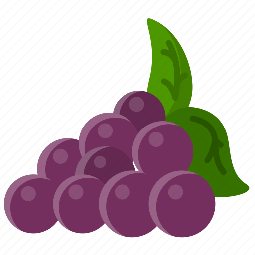 Grape, fruit, fruits, vitamin, nutrition, organic, food icon - Download on Iconfinder