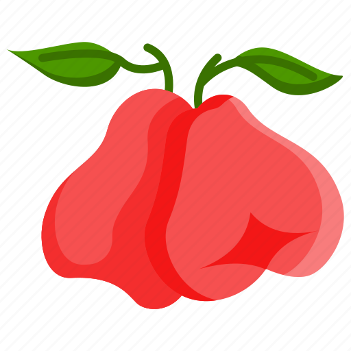 Roseapple, fruit, fruits, vitamin, nutrition, organic, food icon - Download on Iconfinder