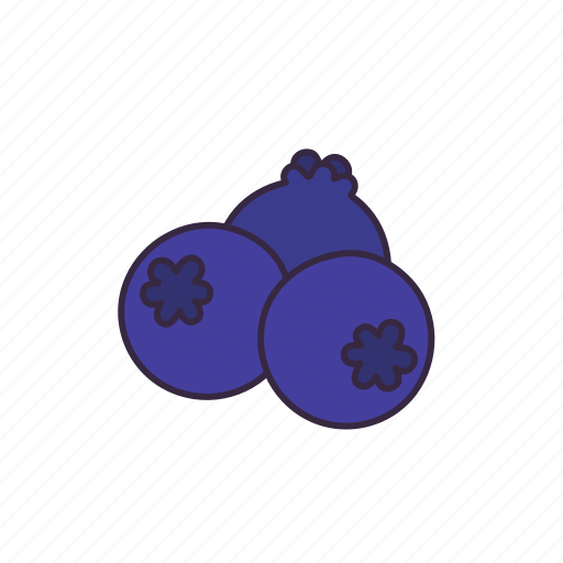 Blueberry, fruit, fresh, diet, healthy, food, berry icon - Download on Iconfinder