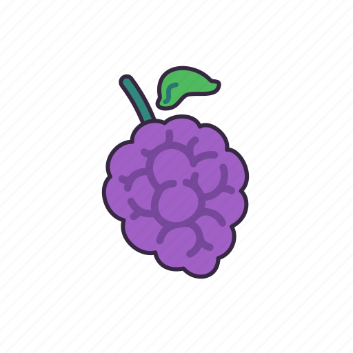 Grape, fruit, fresh, cute, healthy, food, juice icon - Download on Iconfinder