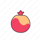 pomegranate, fruit, fresh, diet, healthy, food, cute