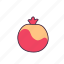 pomegranate, fruit, fresh, diet, healthy, food, cute 
