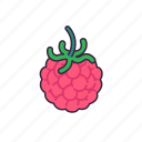 raspberry, fruit, fresh, cute, healthy, food, juice