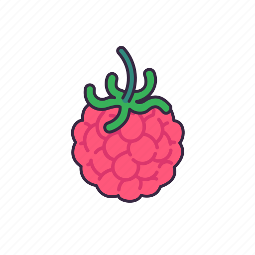 Raspberry, fruit, fresh, cute, healthy, food, juice icon - Download on Iconfinder