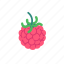 raspberry, fruit, fresh, cute, healthy, food, juice