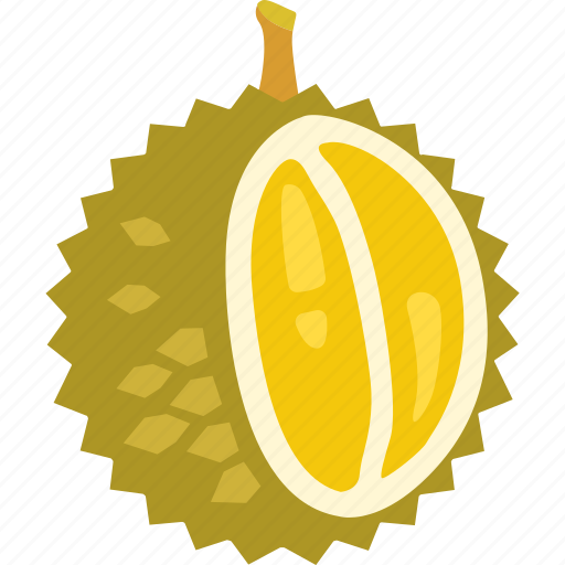 Durian, exotic, fruit, smelly, tropical icon - Download on Iconfinder