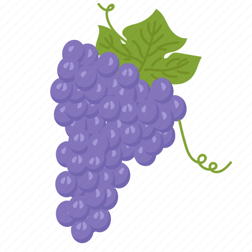 Fruits, grapes, vegetarian, vitamins, grapes blue icon - Download on Iconfinder