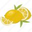 fruit mix, fruits, lemon, vegetarian, vitamins, citrus, juice 