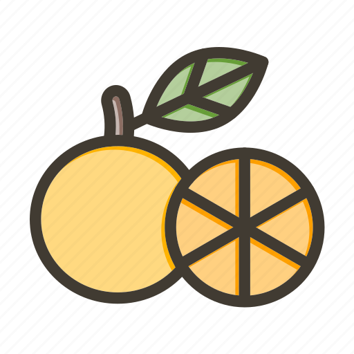 Grapefruit, fruit, healthy, food, orange icon - Download on Iconfinder