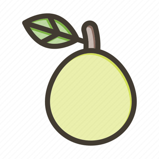 Guava, fruit, healthy, food, fresh icon - Download on Iconfinder
