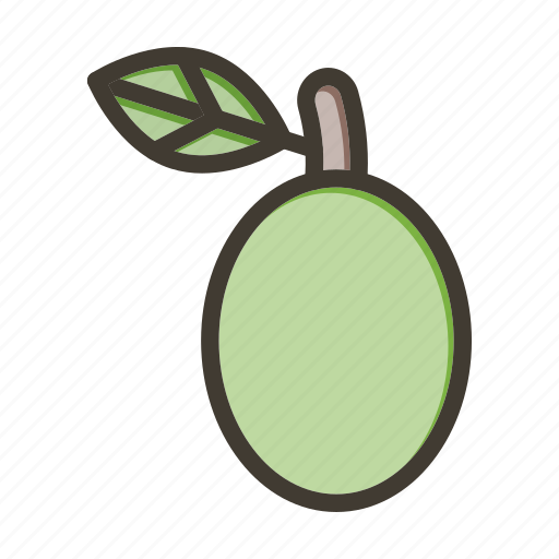Ogeechee limes, fruit, healthy, food, fresh icon - Download on Iconfinder