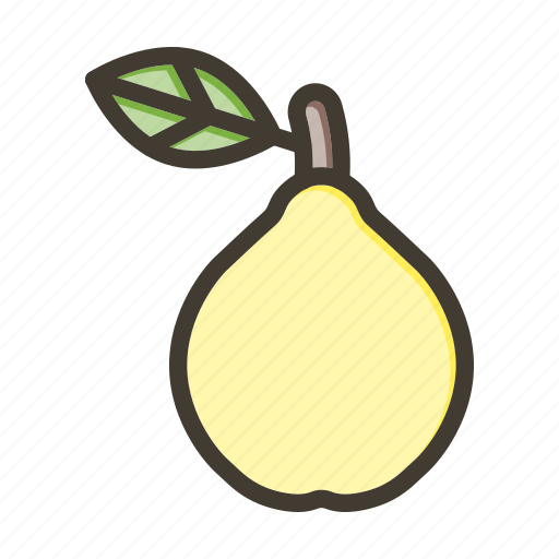 Quince, fruit, healthy, food, fresh icon - Download on Iconfinder