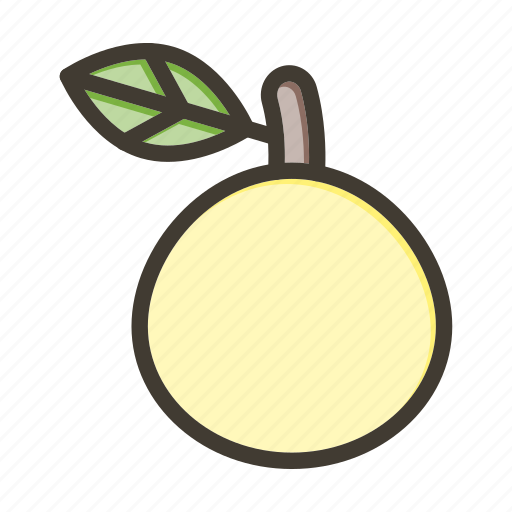 Nashi pear, fruit, food, healthy, fresh icon - Download on Iconfinder