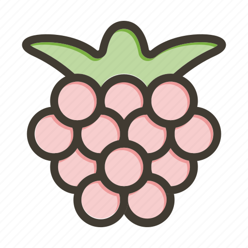 Boysenberries, fruit, food, healthy, fresh icon - Download on Iconfinder