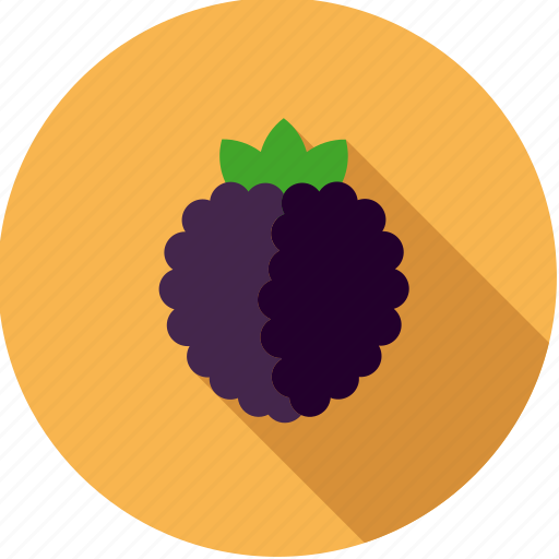 Blackberry, brambleberry, food, fresh, fruit icon - Download on Iconfinder