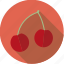 cherries, food, fresh, fruit, pair 