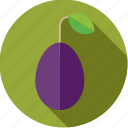 food, fresh, fruit, plum, purple