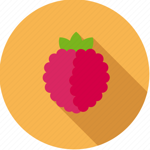 Food, fruit, raspberry, red icon - Download on Iconfinder