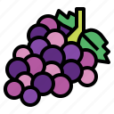 berry, food, fresh, fruit, grape