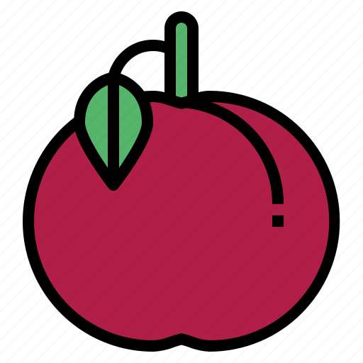 Food, fresh, fruit, plum, vegetarian icon - Download on Iconfinder