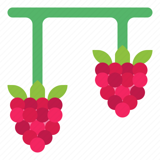 Berry, food, fresh, fruit, raspberry icon - Download on Iconfinder