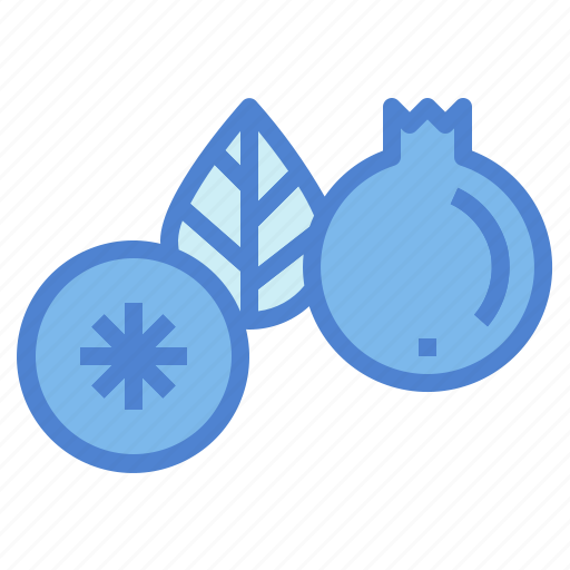 Berry, blueberry, food, fresh, fruit icon - Download on Iconfinder