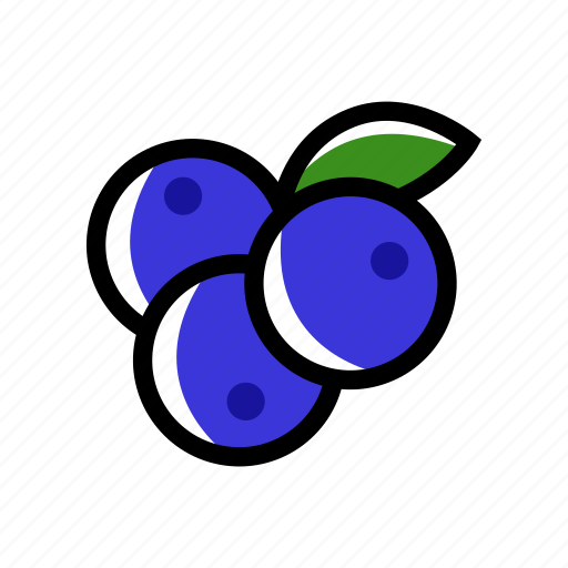 Blueberry, eat, food, fruit, healthy, meal, sweet icon - Download on Iconfinder
