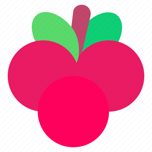 Cranberry, berry, fruits, food, vegan icon - Download on Iconfinder