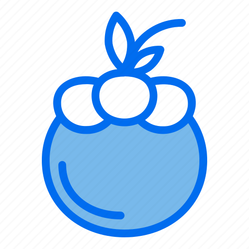 Fruit, food, healthy, mangosteen icon - Download on Iconfinder