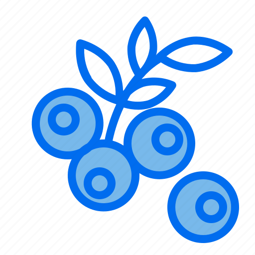 Fruit, food, healthy, blue, berry icon - Download on Iconfinder