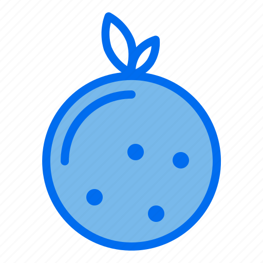 Fruit, food, healthy, orange icon - Download on Iconfinder
