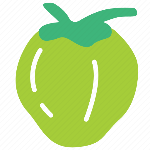 Coconut, coco, fruit, food icon - Download on Iconfinder