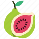 guava, slice, fruit, food