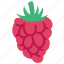 raspberry, berry, berries, fruit 
