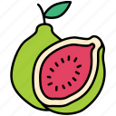 guava, slice, fruit, organic