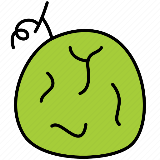 Melon, fruit, food, healthy icon - Download on Iconfinder