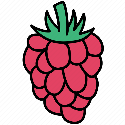 Raspberry, berry, berries, fruit icon - Download on Iconfinder