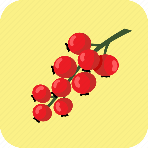 Berry, currant, food, fruit, red, summer, tasty icon - Download on Iconfinder