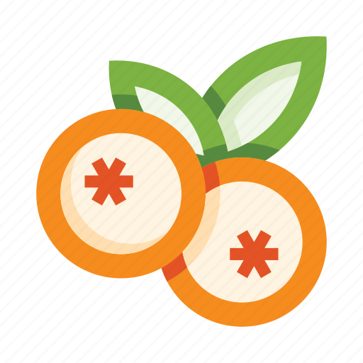 Berries, bilberry, blueberry, leaves, food, sea-buckthorn, berry icon - Download on Iconfinder