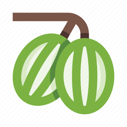 Berries, gooseberry, food, fresh, organic, eco, berry icon - Download on Iconfinder