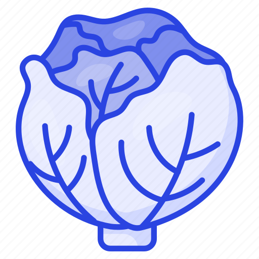 Lettuce, cabbage, vegetable, organic, healthy, food, nutrition icon - Download on Iconfinder
