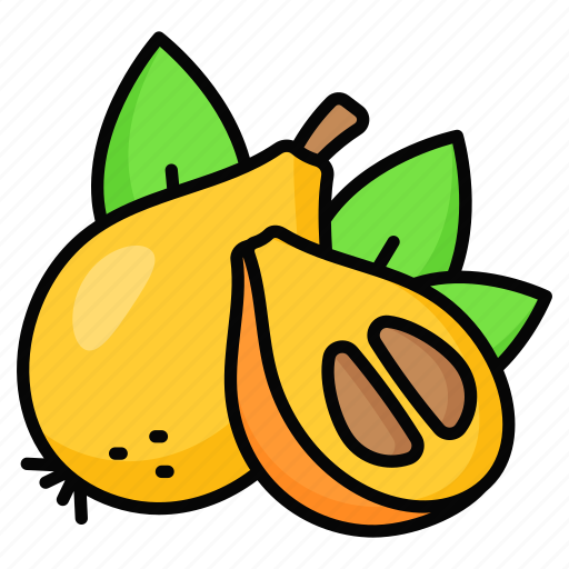 Loquat, food, fruit, healthy, juicy, tropical, nutritious icon - Download on Iconfinder