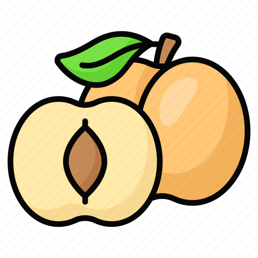 Apricot, food, fruit, healthy, juicy, tropical, nutritious icon - Download on Iconfinder