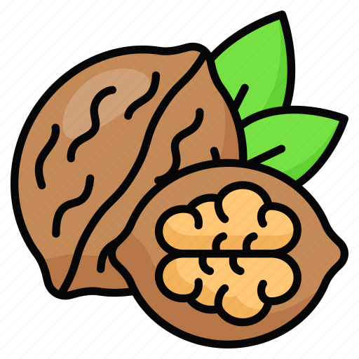 Walnut, dryfruit, food, fruit, healthy, tropical, nutritious icon - Download on Iconfinder