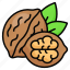 walnut, dryfruit, food, fruit, healthy, tropical, nutritious 