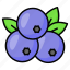 blueberries, berries, chokeberries, food, fruit, healthy, leaves 