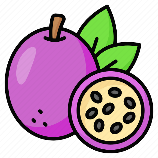 Passion, fruit, food, healthy, organic, natural, diet icon - Download on Iconfinder