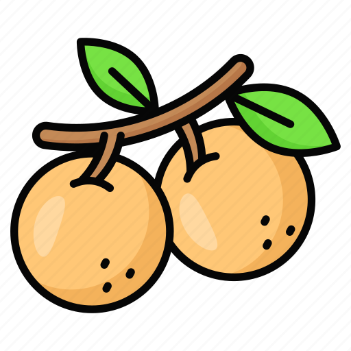 Longan, fruit, food, healthy, organic, natural, diet icon - Download on Iconfinder